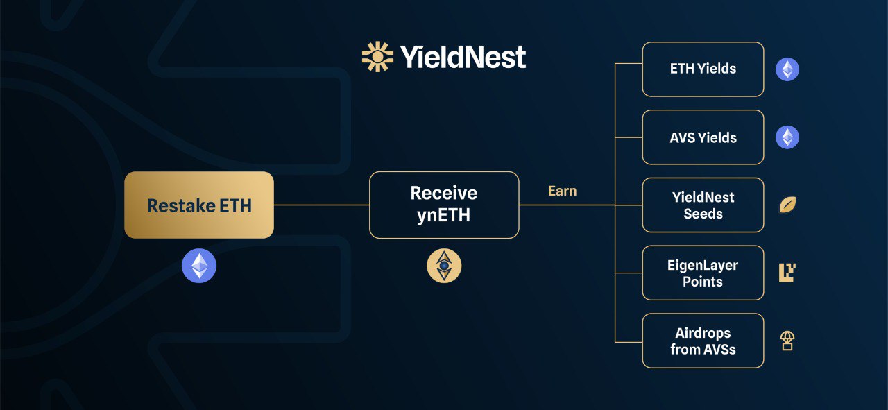 yneth-rewards-explained.jpeg